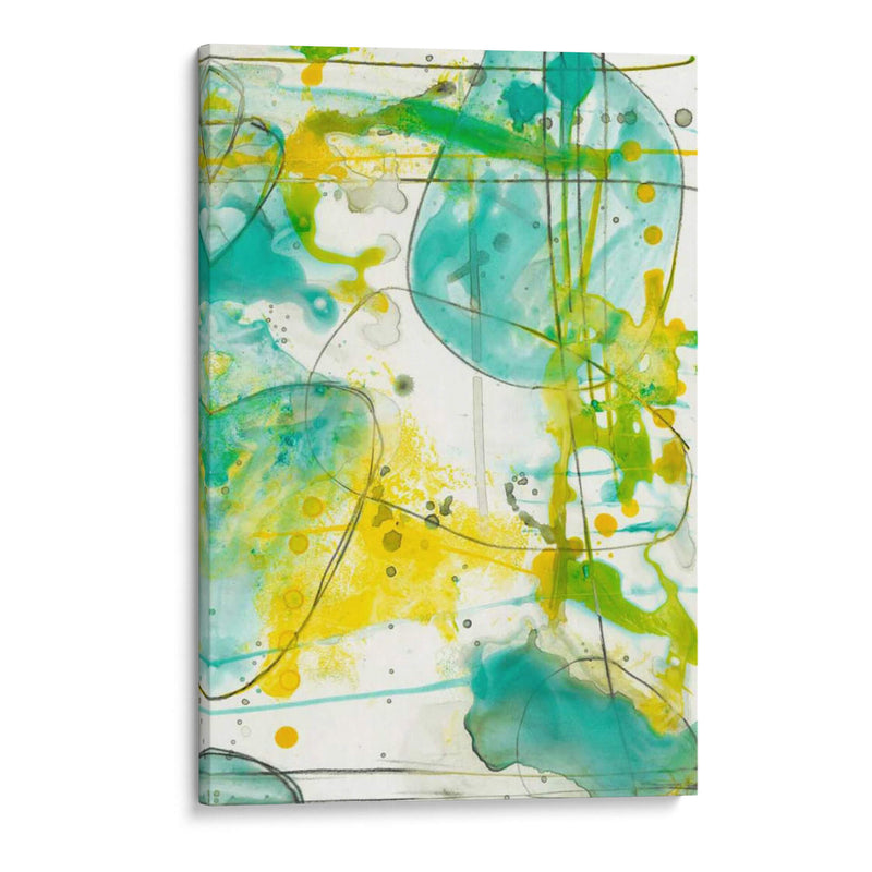 Splish Splash II - Jennifer Goldberger | Cuadro decorativo de Canvas Lab