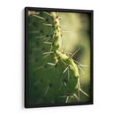 La defensa de un cactus | Cuadro decorativo de Canvas Lab