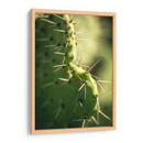 La defensa de un cactus | Cuadro decorativo de Canvas Lab
