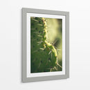 La defensa de un cactus | Cuadro decorativo de Canvas Lab
