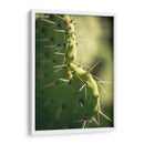 La defensa de un cactus | Cuadro decorativo de Canvas Lab