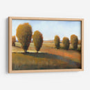 Luz De La Tarde Me - Tim OToole | Cuadro decorativo de Canvas Lab