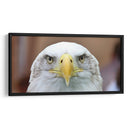 La mirada del águila | Cuadro decorativo de Canvas Lab