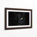 La mirada del gato | Cuadro decorativo de Canvas Lab
