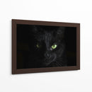 La mirada del gato | Cuadro decorativo de Canvas Lab