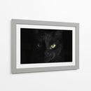 La mirada del gato | Cuadro decorativo de Canvas Lab