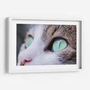 La mirada felina | Cuadro decorativo de Canvas Lab
