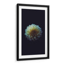 La perfección de una flor | Cuadro decorativo de Canvas Lab