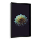 La perfección de una flor | Cuadro decorativo de Canvas Lab