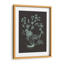 Menta Y Del Carbón De Leña Estudio De La Naturaleza I - Vision Studio | Cuadro decorativo de Canvas Lab