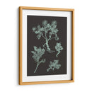 Menta Y Carbón II Estudio De La Naturaleza - Vision Studio | Cuadro decorativo de Canvas Lab