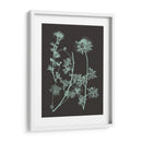 Menta Y Del Carbón De Leña Estudio De La Naturaleza IV - Vision Studio | Cuadro decorativo de Canvas Lab