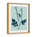 Añil Y Menta Botánico Estudio I - Vision Studio | Cuadro decorativo de Canvas Lab