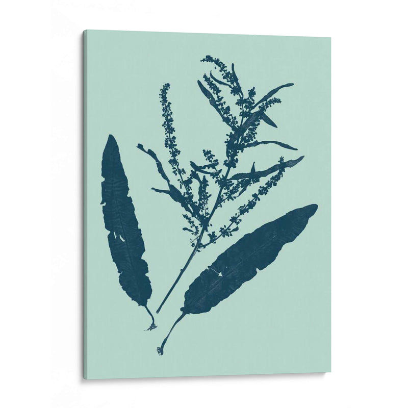 Indigo Y Menta Botanical Estudio IV - Vision Studio | Cuadro decorativo de Canvas Lab