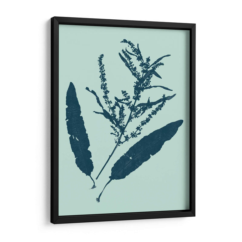 Indigo Y Menta Botanical Estudio IV - Vision Studio | Cuadro decorativo de Canvas Lab