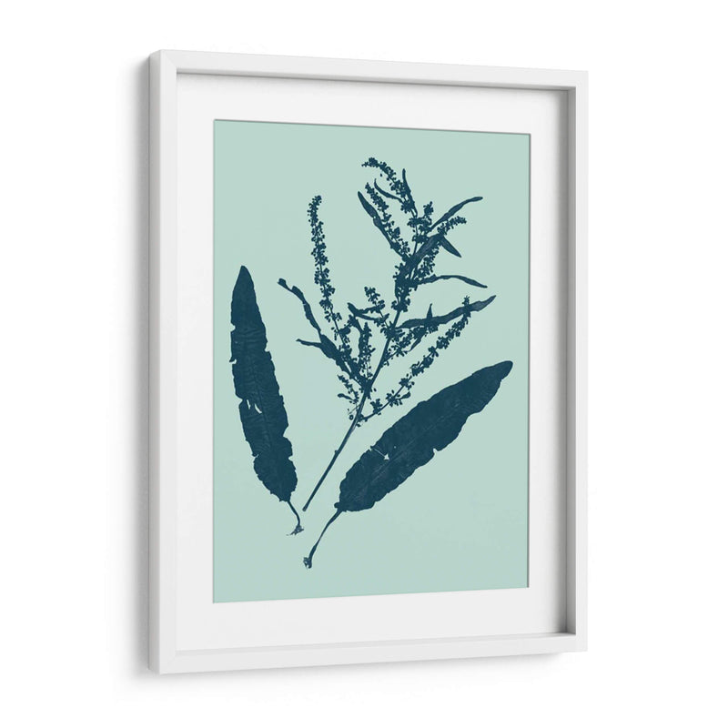 Indigo Y Menta Botanical Estudio IV - Vision Studio | Cuadro decorativo de Canvas Lab