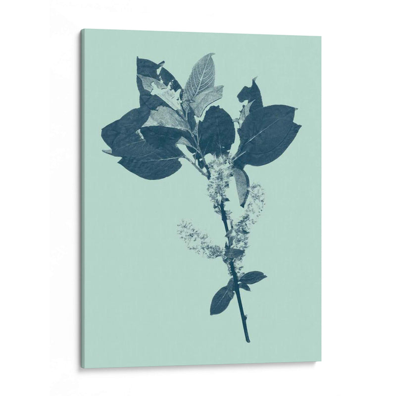 Indigo Y Menta Botanical Estudio V - Vision Studio | Cuadro decorativo de Canvas Lab