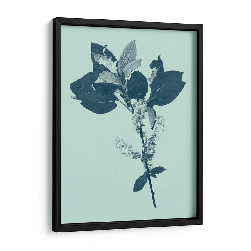 Indigo Y Menta Botanical Estudio V - Vision Studio | Cuadro decorativo de Canvas Lab