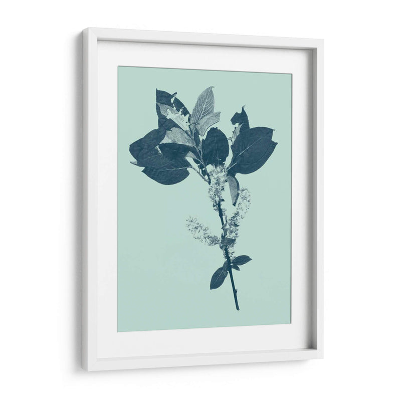 Indigo Y Menta Botanical Estudio V - Vision Studio | Cuadro decorativo de Canvas Lab