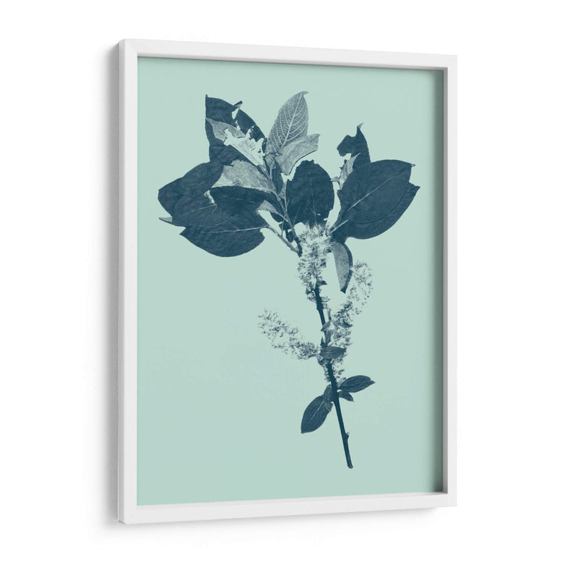 Indigo Y Menta Botanical Estudio V - Vision Studio | Cuadro decorativo de Canvas Lab