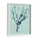 Indigo Y Menta Botanical Study VI - Vision Studio | Cuadro decorativo de Canvas Lab