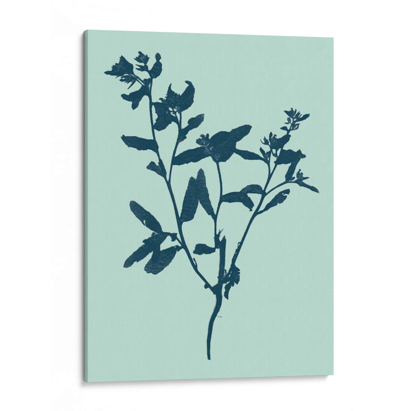 Indigo Y Menta Botanical Study VII - Vision Studio | Cuadro decorativo de Canvas Lab