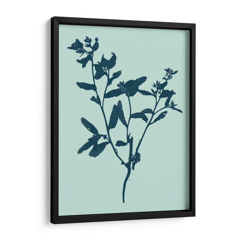 Indigo Y Menta Botanical Study VII - Vision Studio | Cuadro decorativo de Canvas Lab