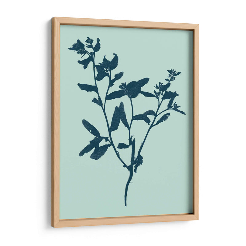 Indigo Y Menta Botanical Study VII - Vision Studio | Cuadro decorativo de Canvas Lab