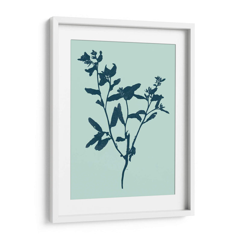 Indigo Y Menta Botanical Study VII - Vision Studio | Cuadro decorativo de Canvas Lab