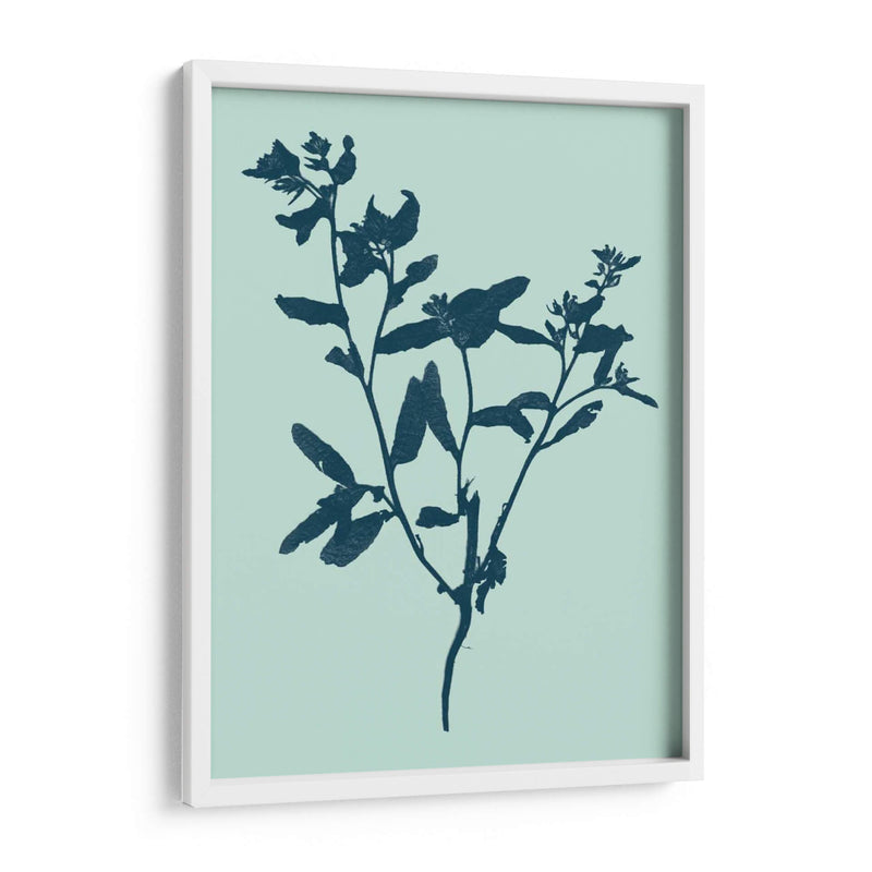 Indigo Y Menta Botanical Study VII - Vision Studio | Cuadro decorativo de Canvas Lab