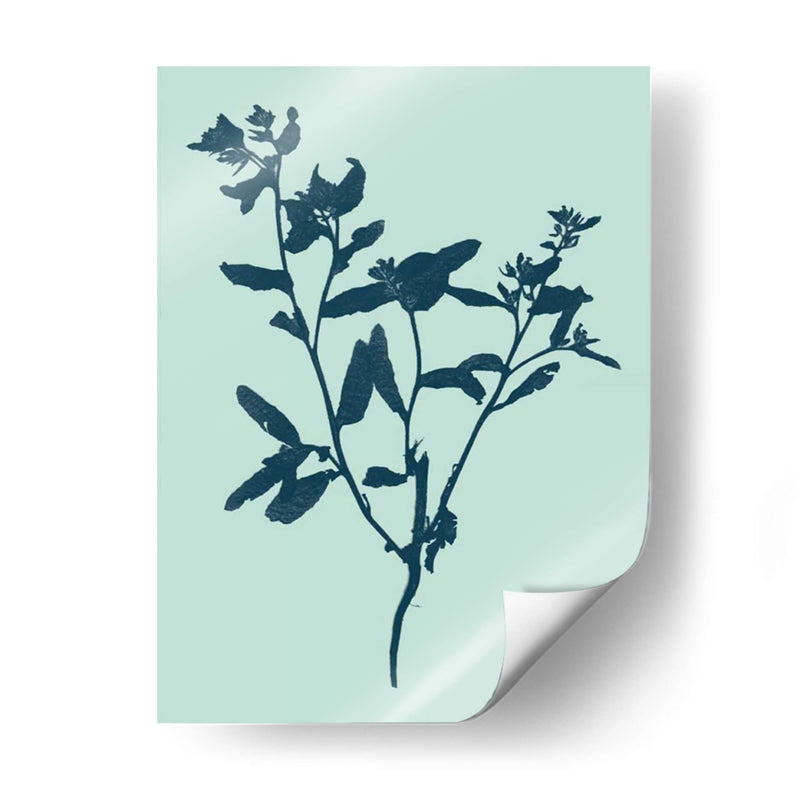 Indigo Y Menta Botanical Study VII - Vision Studio | Cuadro decorativo de Canvas Lab