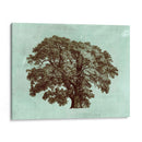 Spa Árbol II - Vision Studio | Cuadro decorativo de Canvas Lab