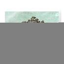 Spa Árbol III - Vision Studio | Cuadro decorativo de Canvas Lab