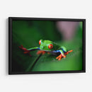 La ranita | Cuadro decorativo de Canvas Lab