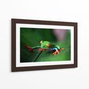 La ranita | Cuadro decorativo de Canvas Lab