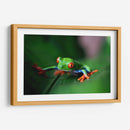 La ranita | Cuadro decorativo de Canvas Lab