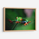 La ranita | Cuadro decorativo de Canvas Lab