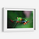 La ranita | Cuadro decorativo de Canvas Lab