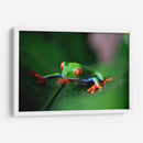 La ranita | Cuadro decorativo de Canvas Lab