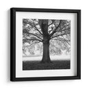 Woodland Tones III - Martin Henson | Cuadro decorativo de Canvas Lab