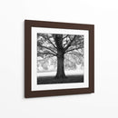 Woodland Tones III - Martin Henson | Cuadro decorativo de Canvas Lab