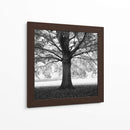Woodland Tones III - Martin Henson | Cuadro decorativo de Canvas Lab