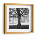 Woodland Tones III - Martin Henson | Cuadro decorativo de Canvas Lab