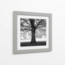 Woodland Tones III - Martin Henson | Cuadro decorativo de Canvas Lab