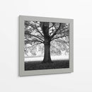 Woodland Tones III - Martin Henson | Cuadro decorativo de Canvas Lab