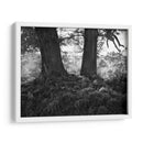 El Roble Poderoso - Martin Henson | Cuadro decorativo de Canvas Lab