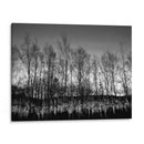 Reflexión Acuosa - Martin Henson | Cuadro decorativo de Canvas Lab