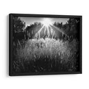 Alcanzar Para El Cielo - Martin Henson | Cuadro decorativo de Canvas Lab