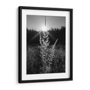 Luz Mágica - Martin Henson | Cuadro decorativo de Canvas Lab