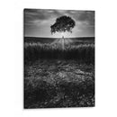 Tierra Agrietada - Martin Henson | Cuadro decorativo de Canvas Lab